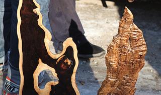 河北大城县红木大集