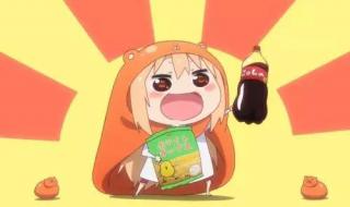 动画生涯个人喜好表