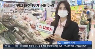 韩国大白菜62元一颗